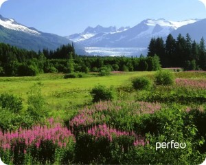 pci-ex-powercolor--ax6670-1gbd5-h--0