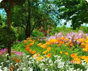 pci-ex-powercolor--ax6670-1gbd5-h--0