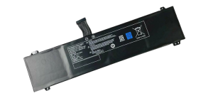 BAT-DNS-67