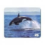 1c1c5706109c755390b6c0db9961f223