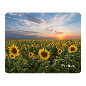 pci-ex-powercolor--ax6670-1gbd5-h--0